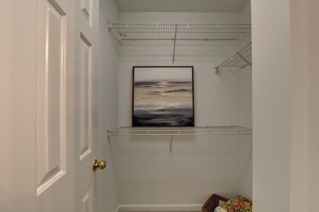 view of spacious closet