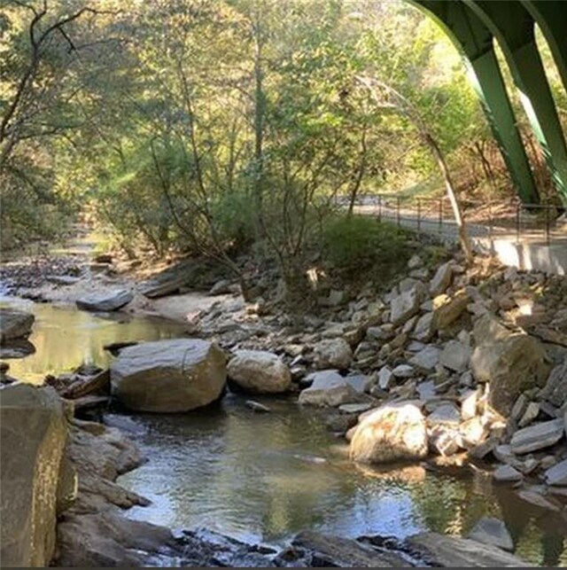 view of local wilderness