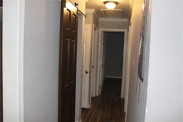 corridor featuring dark hardwood / wood-style floors and ornamental molding