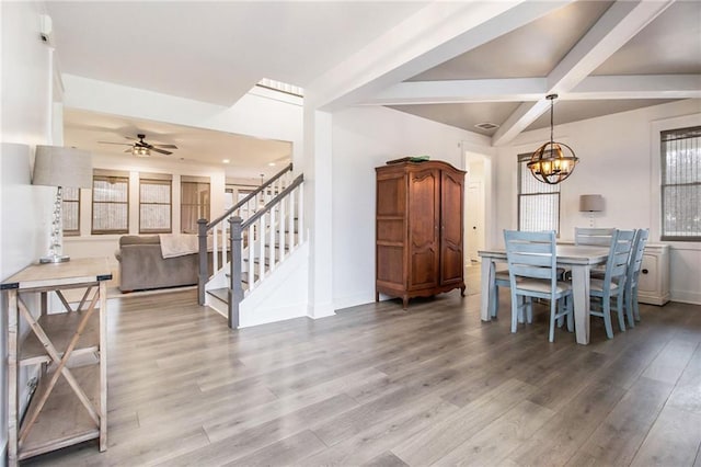 dining space featuring ceiling fan with notable chandelier, beam ceiling, and hardwood / wood-style floors