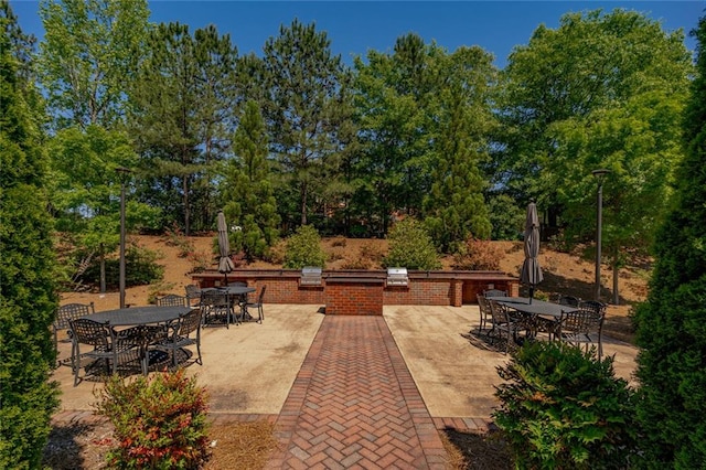 view of patio with outdoor dining space, exterior kitchen, and a grill