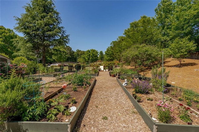 view of yard with a garden