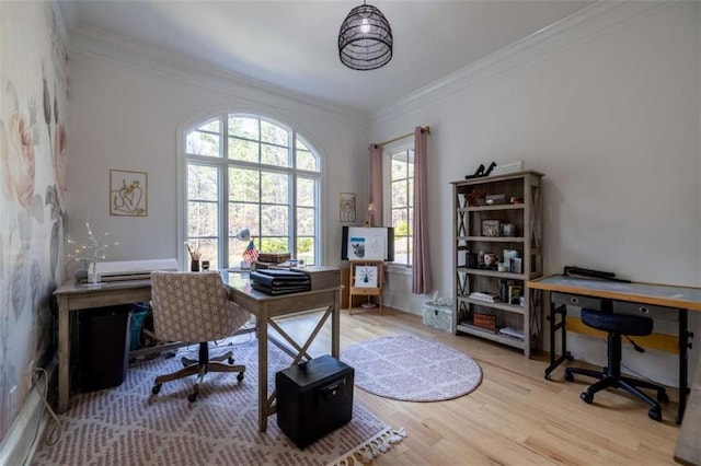 home office with crown molding and light hardwood / wood-style flooring