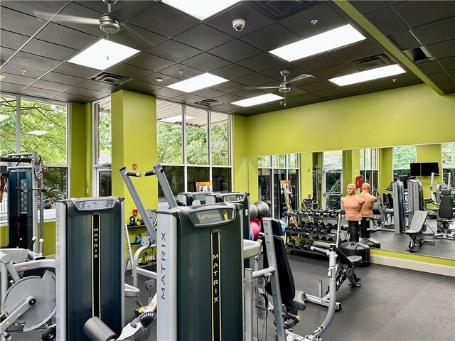 gym with a healthy amount of sunlight, a drop ceiling, and ceiling fan