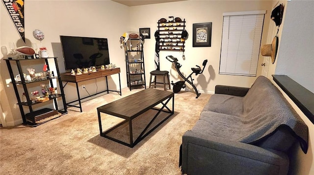 living room featuring light colored carpet