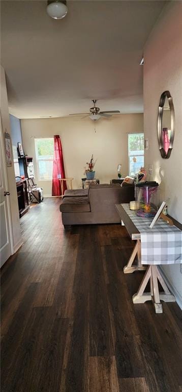 dining area featuring hardwood / wood-style floors and ceiling fan