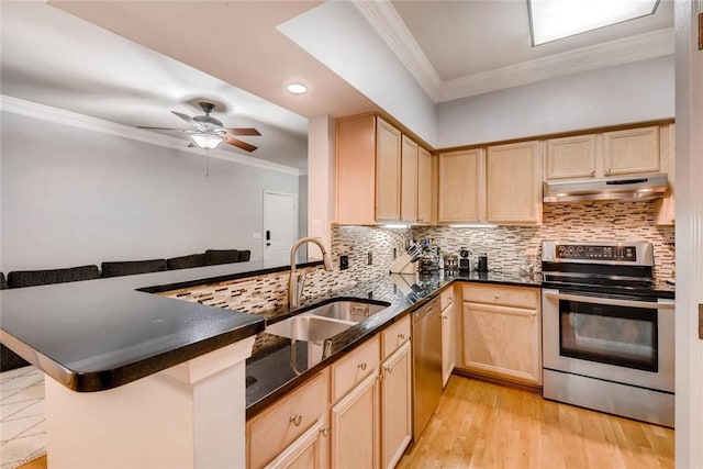 kitchen with a kitchen bar, sink, crown molding, appliances with stainless steel finishes, and kitchen peninsula