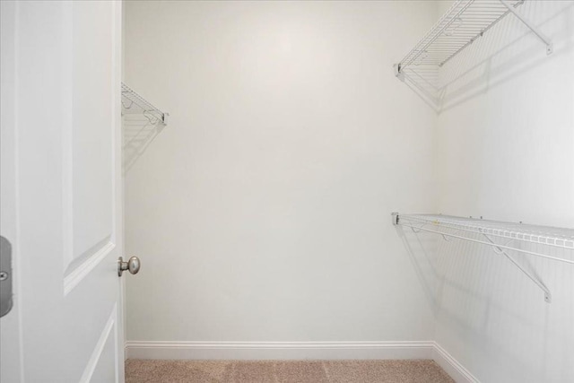 spacious closet featuring carpet flooring