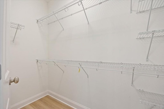 walk in closet featuring hardwood / wood-style flooring