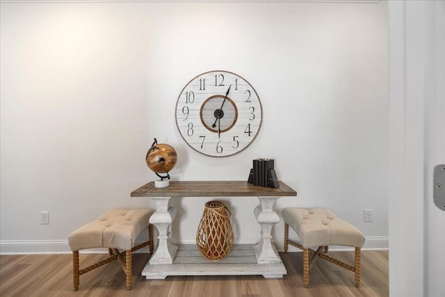 room details featuring hardwood / wood-style flooring