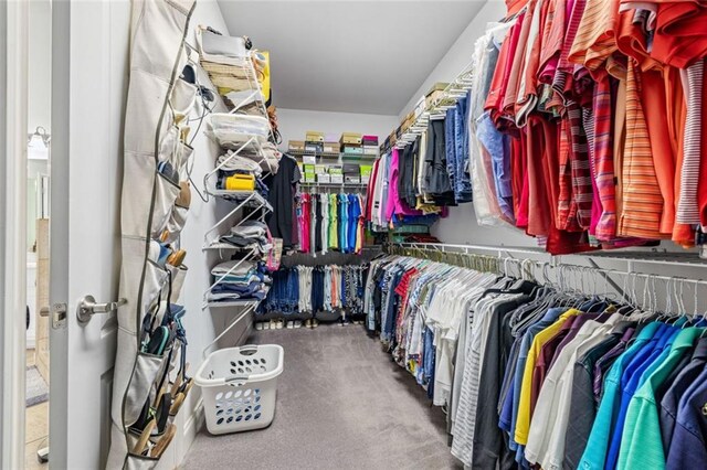 walk in closet with carpet floors