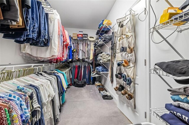 spacious closet with carpet flooring