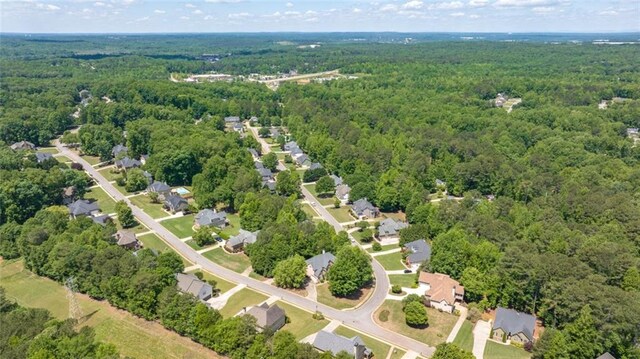 bird's eye view of a forest
