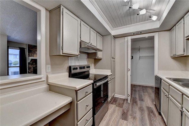 kitchen with light countertops, under cabinet range hood, light wood-style floors, a tray ceiling, and appliances with stainless steel finishes