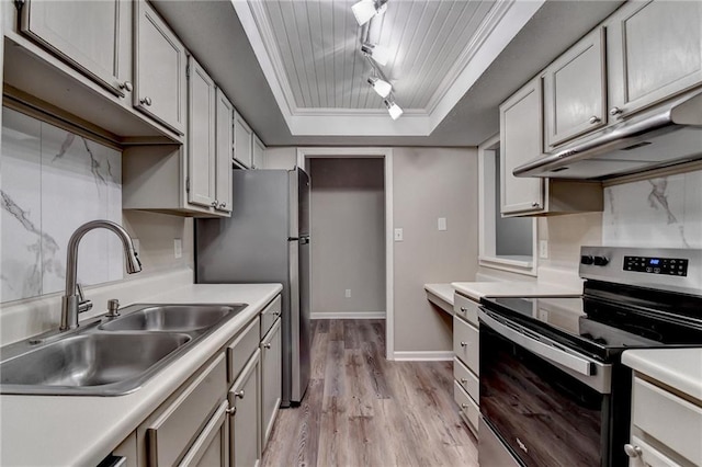 kitchen featuring appliances with stainless steel finishes, light wood-type flooring, under cabinet range hood, a raised ceiling, and a sink