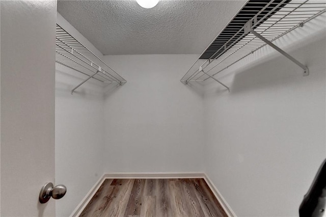 spacious closet featuring wood finished floors