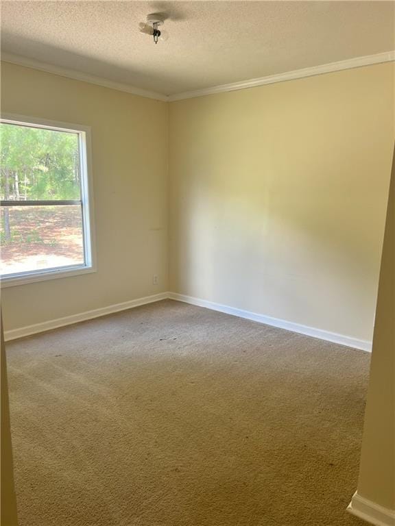 unfurnished room with a textured ceiling, crown molding, and carpet floors