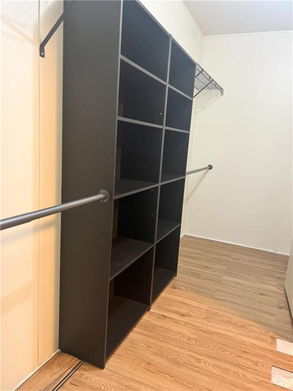 spacious closet featuring hardwood / wood-style floors