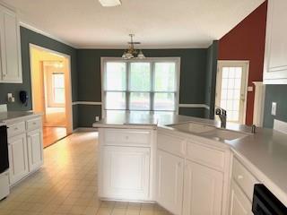 kitchen with plenty of natural light, white cabinetry, a sink, and dishwasher