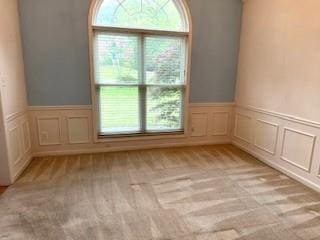 empty room featuring healthy amount of natural light, wainscoting, a decorative wall, and light carpet