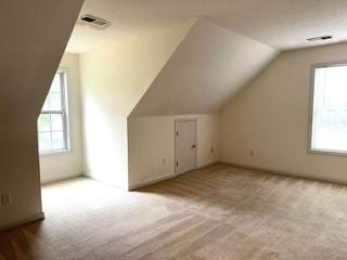 additional living space featuring carpet flooring and vaulted ceiling
