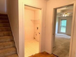 staircase featuring baseboards and ceiling fan
