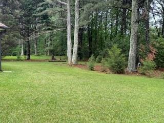 view of grassy yard