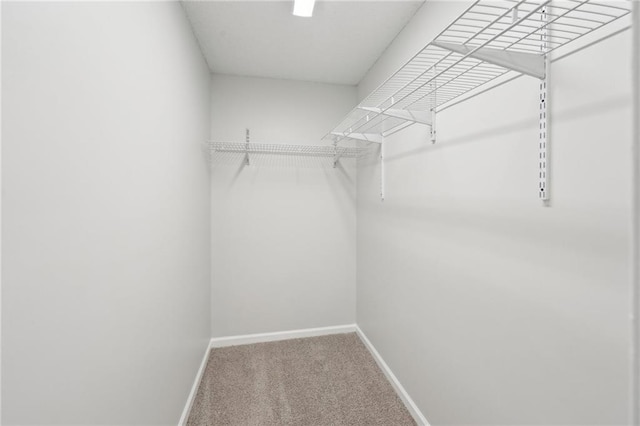 spacious closet with carpet