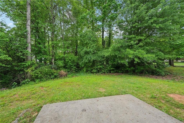 view of yard with a patio area