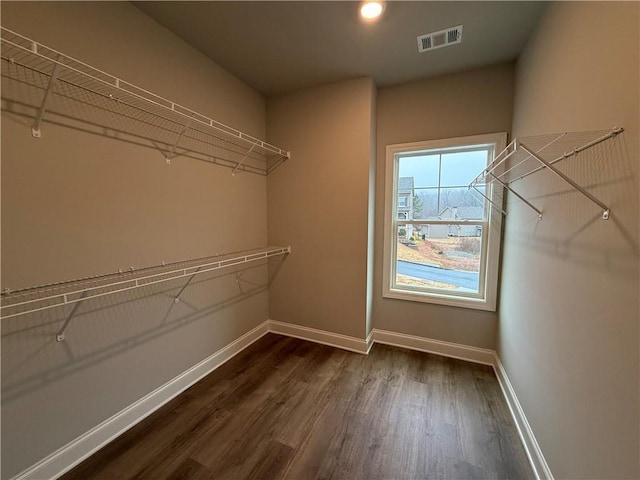 spacious closet with dark hardwood / wood-style flooring