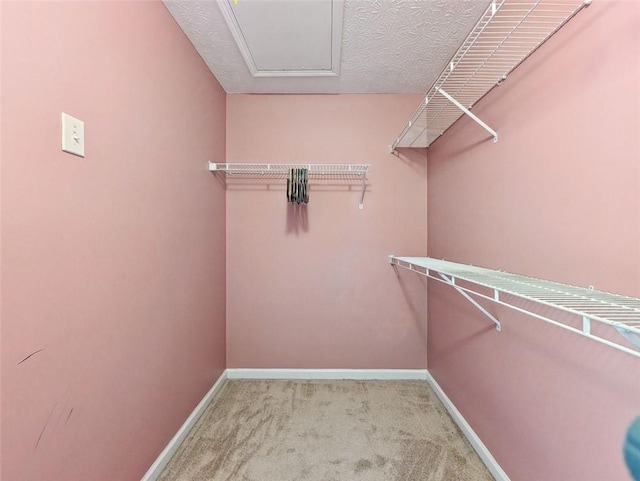 spacious closet with light colored carpet