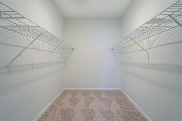 spacious closet with carpet floors