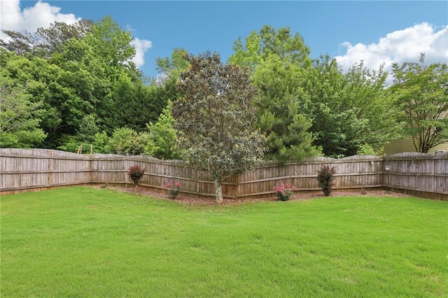 5225 Stonehaven Vw, Cumming, GA 30040 - view of yard