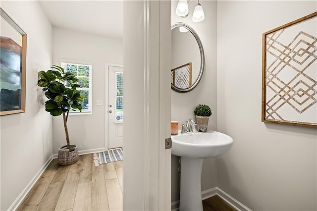 bathroom with hardwood / wood-style flooring