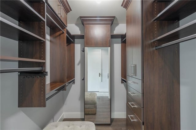 walk in closet with dark hardwood / wood-style floors