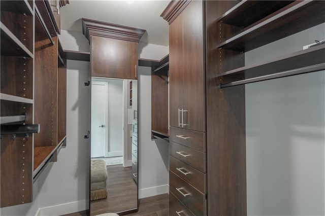 spacious closet with dark wood-type flooring