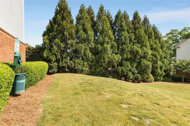 735 Neel Reid Dr, Roswell, GA 30075 - view of yard