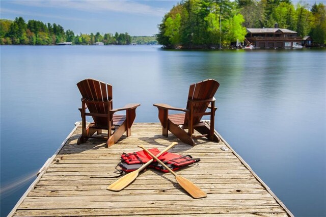 735 Neel Reid Dr, Roswell, GA 30075 - dock area with a water view