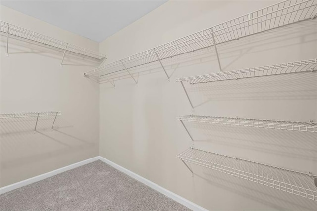 29 Lankford Rd, Tucker, GA 30084 - spacious closet featuring carpet
