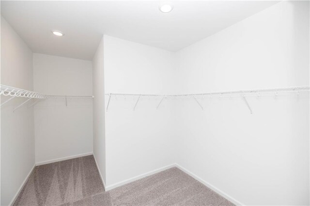 711 Dodd Ln N Unit 166, Buford, GA 30518 - walk in closet with carpet flooring
