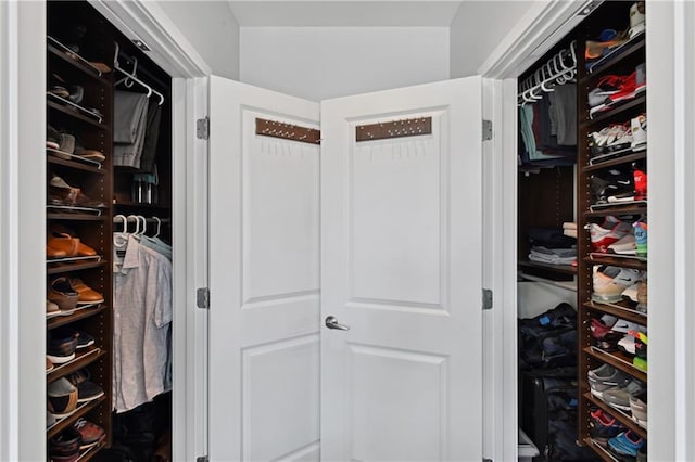 view of spacious closet