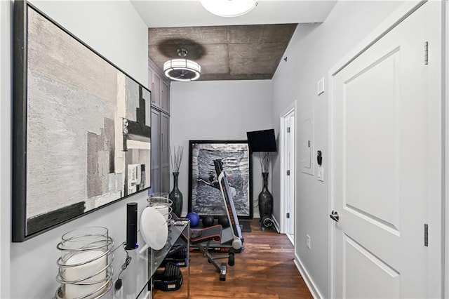 exercise area featuring dark hardwood / wood-style flooring