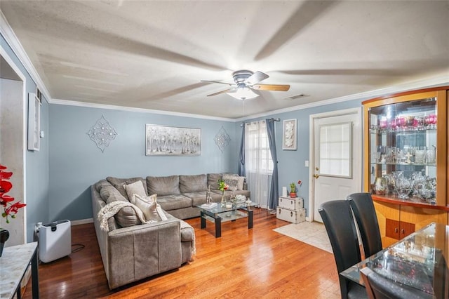 living area featuring visible vents, a ceiling fan, light wood-style flooring, and crown molding