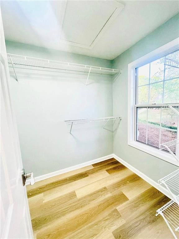 7675 Lanier View Rdg, Cumming, GA 30041 - spacious closet featuring wood finished floors