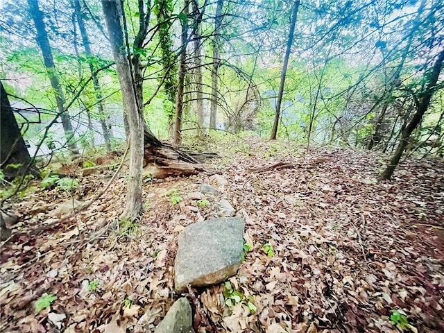 7675 Lanier View Rdg, Cumming, GA 30041 - view of local wilderness
