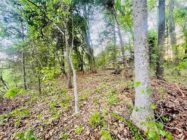 7675 Lanier View Rdg, Cumming, GA 30041 - view of undeveloped land