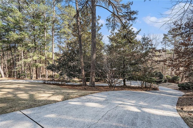 view of yard featuring driveway