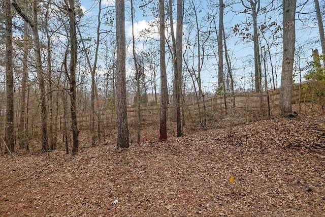 view of local wilderness