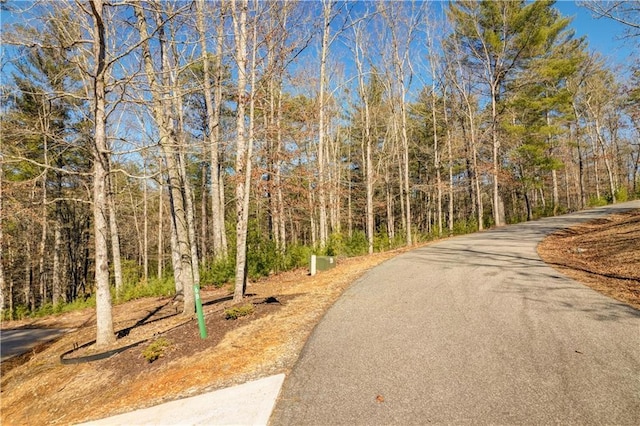 view of street featuring a wooded view