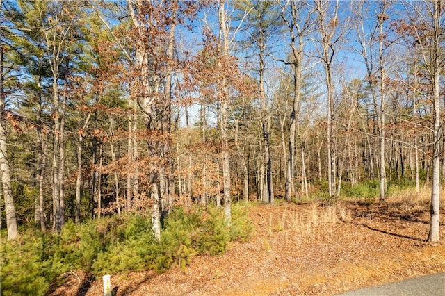 view of nature featuring a view of trees